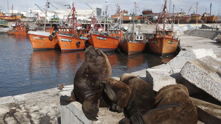 Mar del Plata: vacaciones de invierno con todo para disfrutar