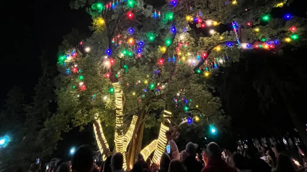 Se encendió la Navidad tandilense