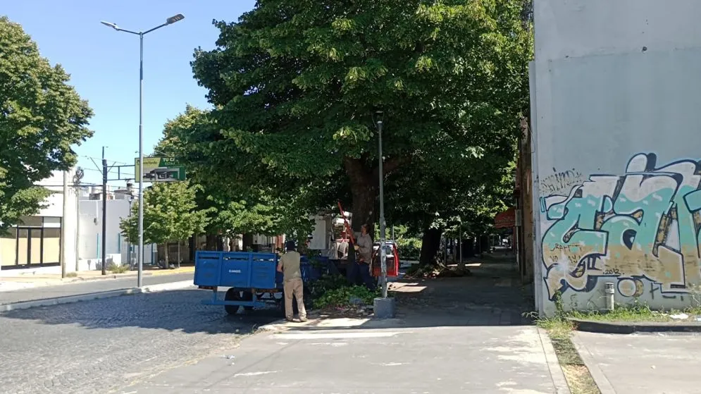 Habrá cortes de tránsito y cambios en recorridos del transporte público por tareas de poda en Avenida Colón