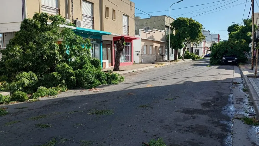 El temporal voló ramas, techos y cartelería