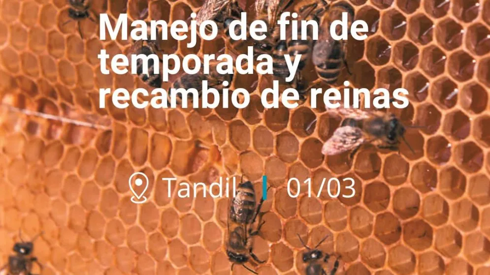 Jornada apícola "Manejo de fin de temporada y recambio de reinas"