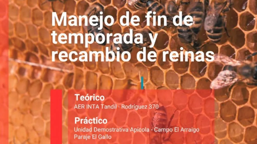 Jornada apícola para productores: curso de manejo de fin de temporada y recambio de reinas