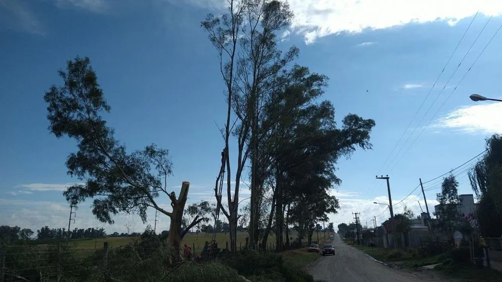 El corte de luz en Cerró Leones y Movediza se produjo por trabajos de poda de un particular