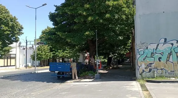 Habrá cortes de tránsito y cambios en recorridos del transporte público por tareas de poda en Avenida Colón