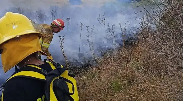 Incendio afectó unas 100 hectáreas 