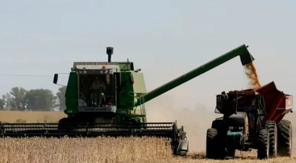 Para aumentar la oferta de dólares, no habrá retenciones a los granos hasta el 31 de octubre