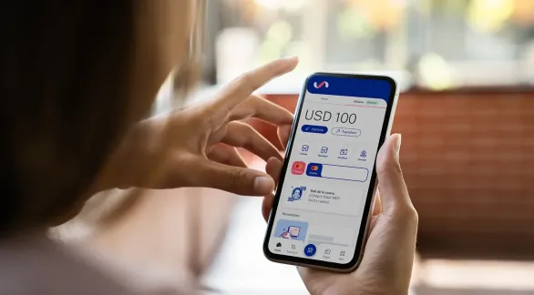 Las billeteras virtuales frenaron la venta del dólar oficial y el BCRA negó cambios normativos